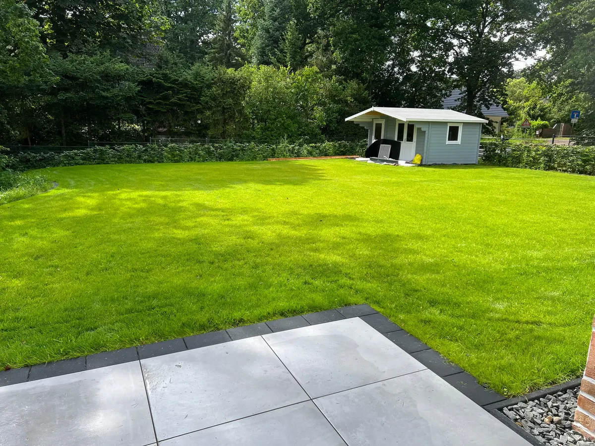 Gepflegter, sattgrüner Rasen mit Gartenhaus nach der Neuanlage