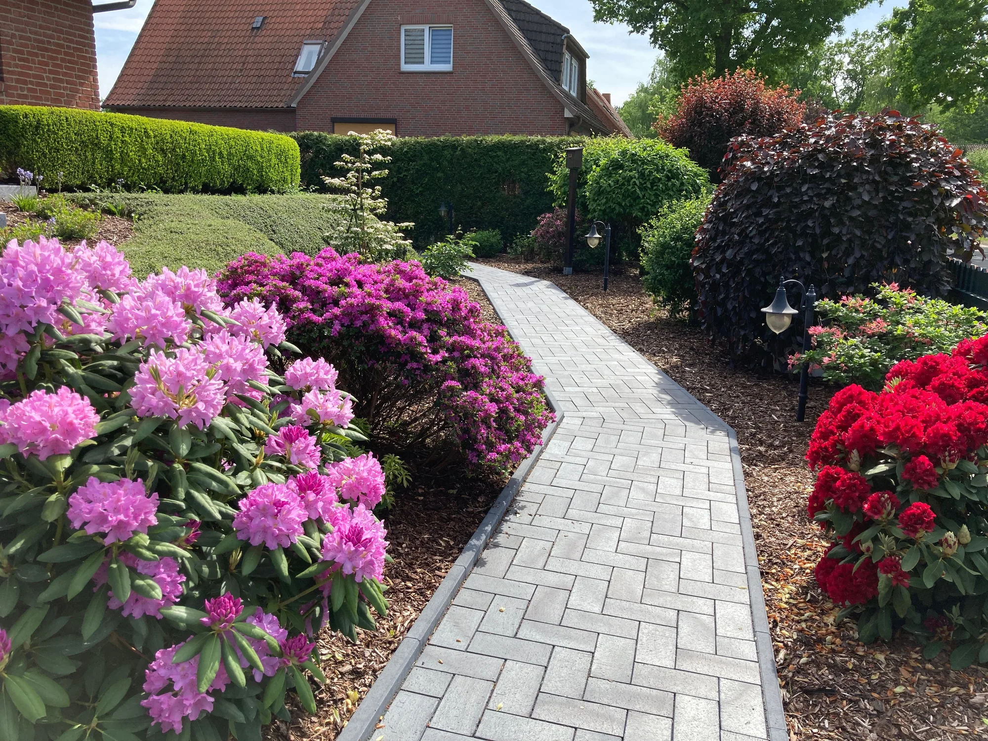 Neuer Pflasterweg mit heller Granit-Einfassung zwischen blühenden Rhododendren