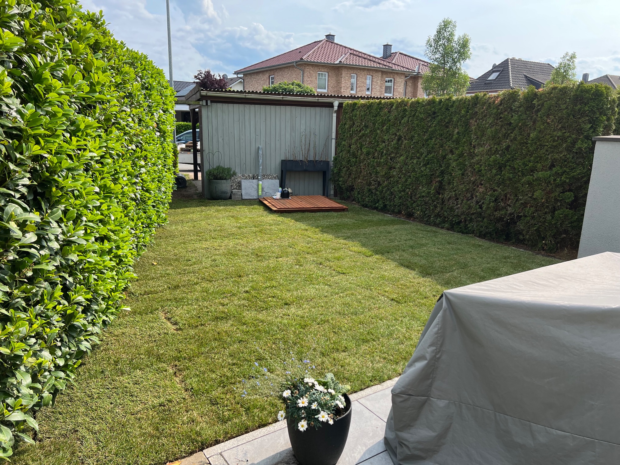 Neu angelegter Rasen und Terrasse vom Garten aus fotografiert