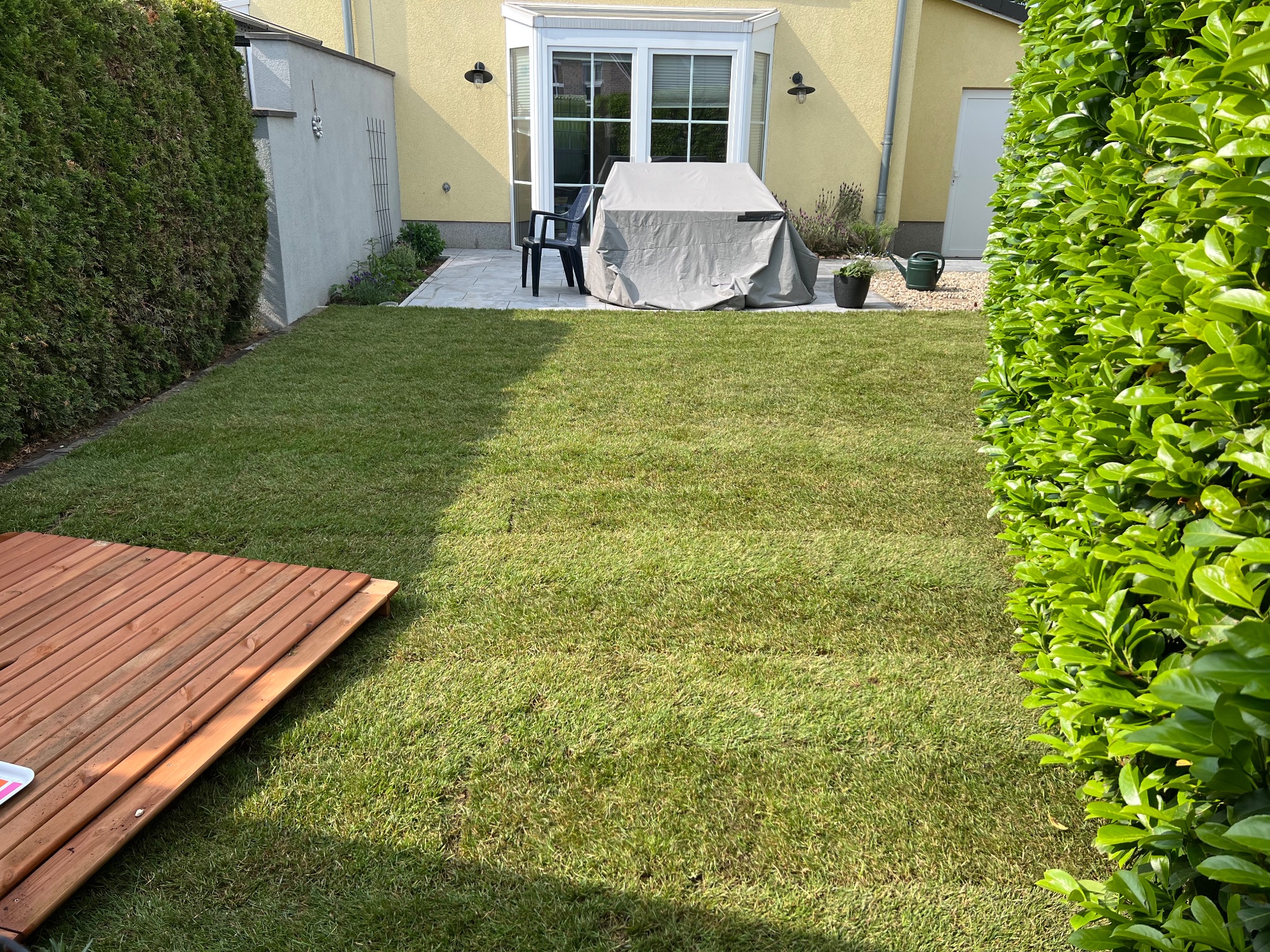 Fertige Terrasse mit neu verlegtem Rasen und Blick in den Garten in Glinde