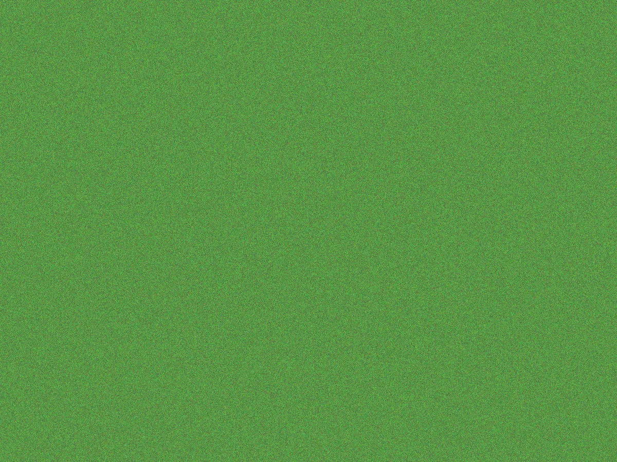Testbild