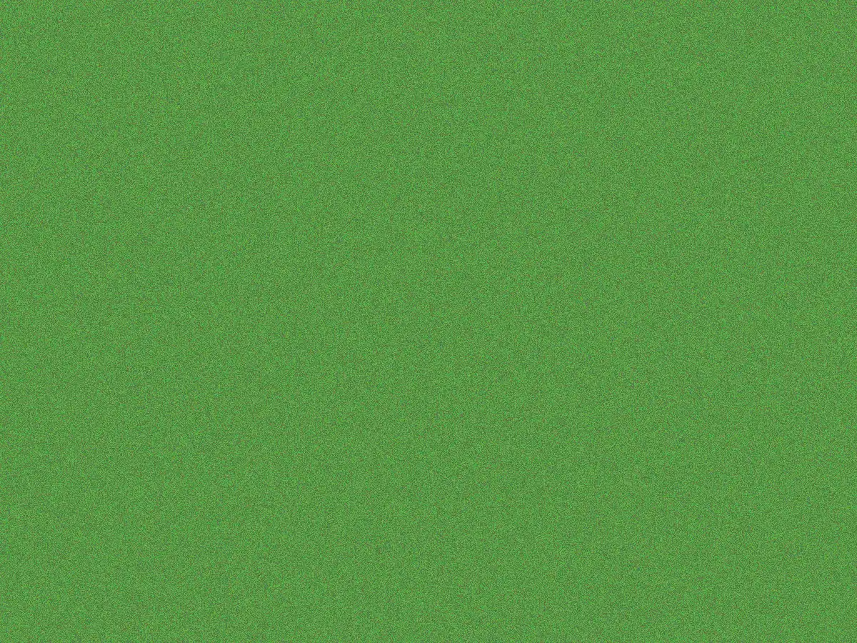Testbild